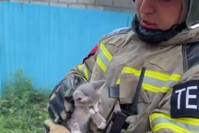 Дагестанские огнеборцы вытащили котенка из горящего гаража