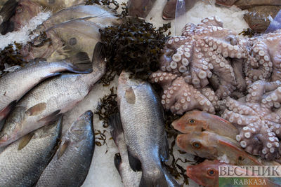 Россия запретила ввоз морепродуктов из Японии