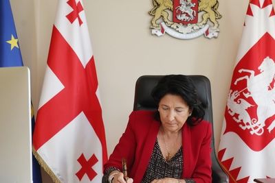 Президент Грузии после отставки может принять участие в выборах в парламент 