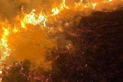 Крупные пожары произошли в Предгорном районе Ставрополья
