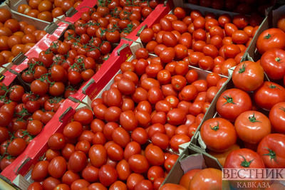 Россия - главный импортер помидоров из Азербайджана