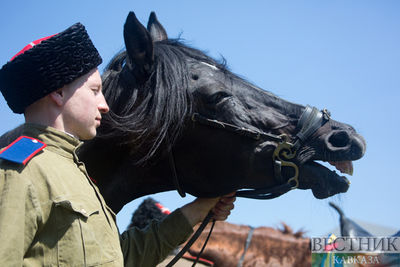 В Дагестане появится конный театр