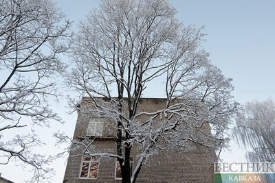 Морозы в Москве - Вильфанд назвал сроки аномалии