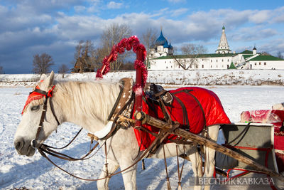 Новогодняя столица России: как встретить Новый год в Суздале и что там посмотреть?