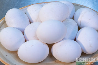 Армения снабжает Россию куриными яйцами