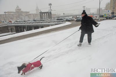 Оттепель придет в Москву вслед за снегопадами
