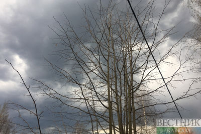 Ветер стал причиной отключения электричества в трех районах Кабардино-Балкарии