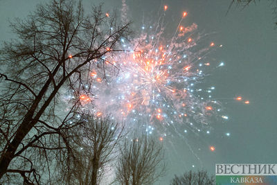 Салюта в Санкт-Петербурге на Новый год не будет
