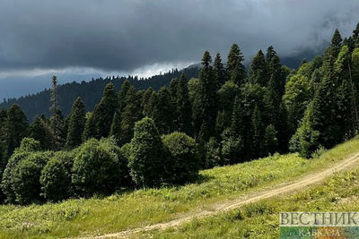 Северный Кавказ развивает экологический туризм с помощью экотроп 