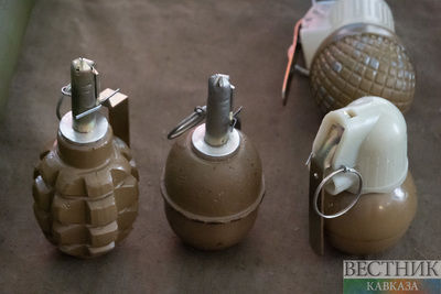 Учебную гранату нашли в Москве в аэропорту Шереметьево