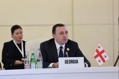 СМИ: в Грузии готовят рокировку Гарибашвили - Кобахидзе