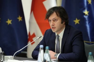 Парламент Грузии выразил доверие правительству Кобахидзе