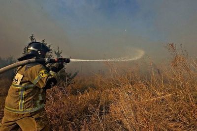 Волна ландшафтных пожаров охватила Ставрополье с конца прошлой недели