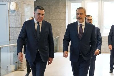 Главы МИД Грузии и Турции обсудили последние события в регионе