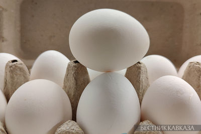 Цены на куриные яйца упали в Дагестане 