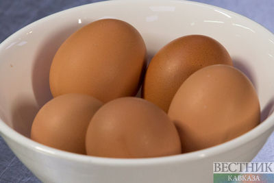 Казахстан запретит ввоз куриных яиц
