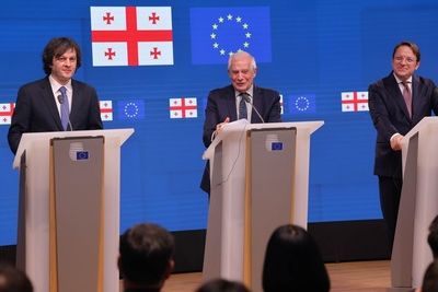 В Грузии назвали возможное время вступления в ЕС