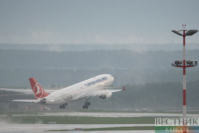 Самолет рейса Стамбул – Сеул совершил экстренную посадку в аэропорту вылета