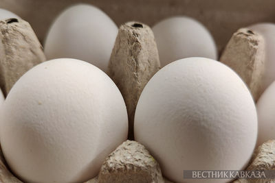 Азербайджан продолжает поставки яиц в Россию