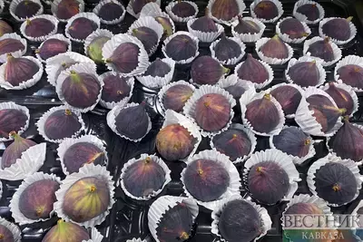 В Ингушетии начнут выращивать инжирный персик