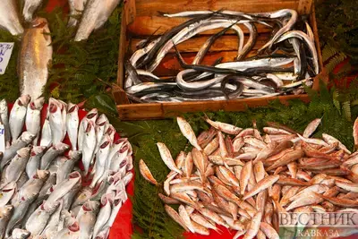 В Северной Осетии начнут готовить рыбоводов