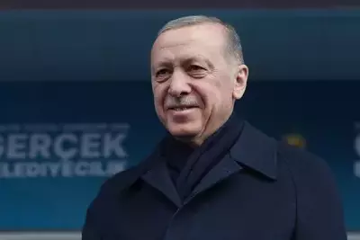 Эрдоган нацелился на более тесное сотрудничество с Азербайджаном