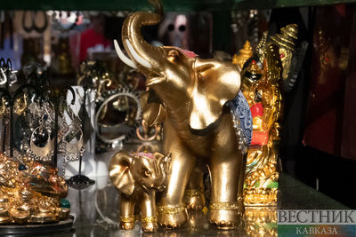 Индийский слон