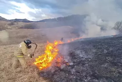 Пожарные ликвидировали возгорание под Кисловодском