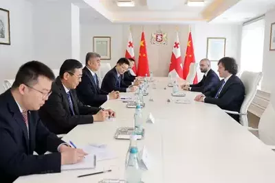 Грузия и Китай обсудили политическое и экономическое партнерство