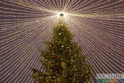 Поджигателей новогодней елки наказали в Буйнакске