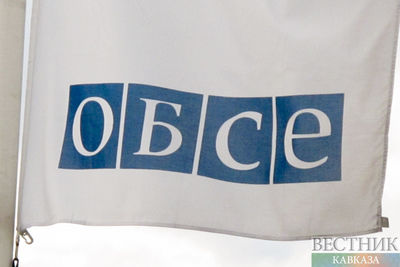 Эксперты ОБСЕ проведут мониторинг на линии соприкосновения войск 