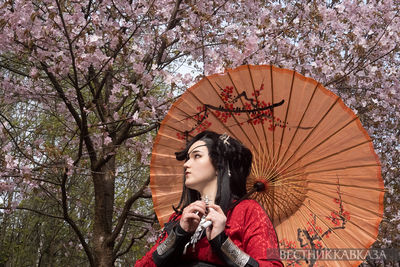 Сакура в Москве 2024