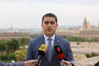 В парламенте Грузии намерены преодолеть вето президента