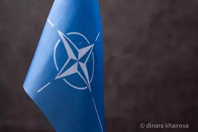 Грузия обвинила НАТО в неточном переводе договора