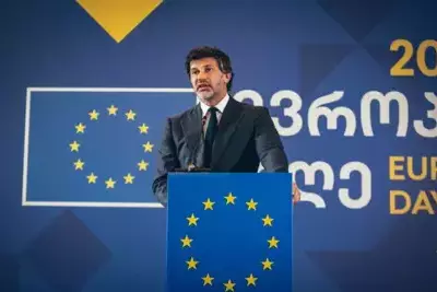 Грузия завершает работу над рекомендациями для вступления в ЕС