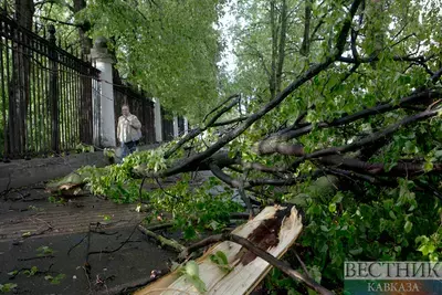 Ураган погубил мужчину в Москве