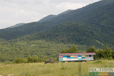 В Кантышево появится первый в Ингушетии Дом пчеловодов