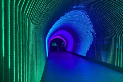 В Сочи появится новая зона со световыми тоннелями