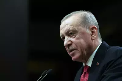 Президент Турции не исключает дополнительныех шагов для мира в Сирии