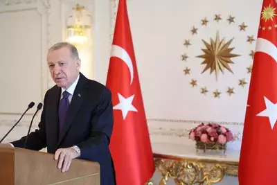 Эрдоган возмутился решением УЕФА дисквалифицировать турецкого футболиста