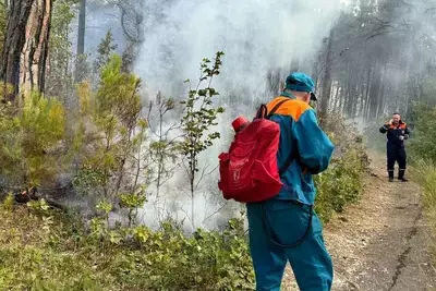 Под Геленджиком на Кубани вспыхнул лес