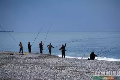 Азербайджанские экологи выяснили причину гибели рыбы на Каспии