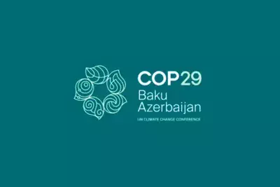 Азербайджан будет выдавать &quot;Специальные визы COP29&quot;