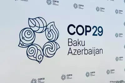 В Баку заработала Академия COP29
