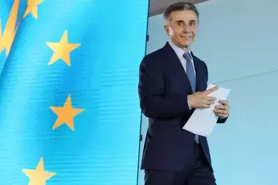 Иванишвили может стать президентом Грузии