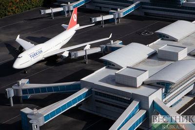 Миниататюрк