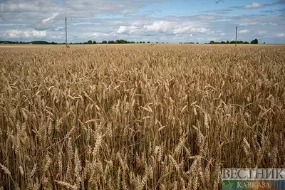 Кубанский агроконцерн перевел свою технику на &quot;удаленку&quot;