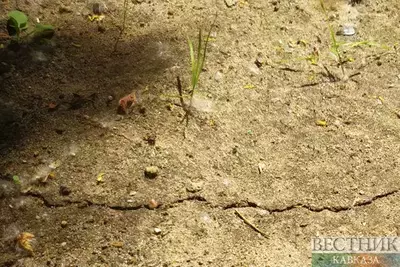 Засуха в Ингушетии: власти вводят режим ЧС