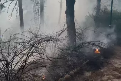 Пожар в Кисловодском парке: горит гектар травы