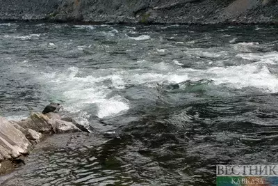 В реке на Ставрополье снова массово гибнет рыба